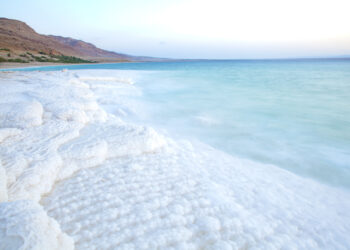 Surprising Facts About the Salinity of Seawater