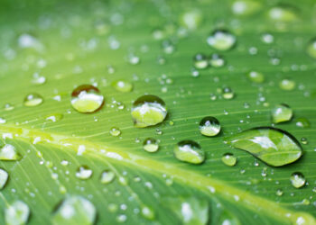 Is it possible to have a raindrop that contains gallons of water?