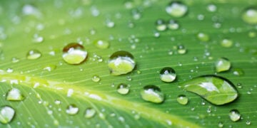 Is it possible to have a raindrop that contains gallons of water?￼