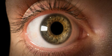 The Real Reason Humans Have Large White Eyes. And It’s Not Because of Carrots!