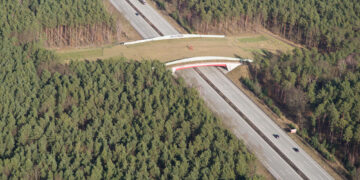 Wildlife Bridges: An Effective Way to Reduce Animal-Vehicle Crashes