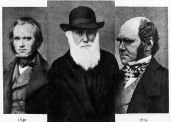 5 Myths surrounding Charles Darwin