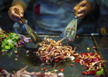 The Top 5 Foods Every Tourist Should Avoid When Visiting Asia