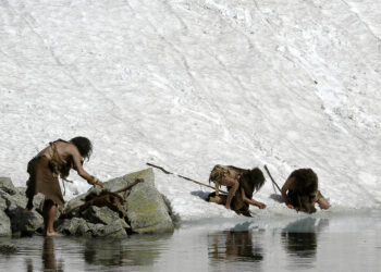 Chewing Gum Provides Missing Link to the Stone Age