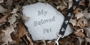 Be careful when choosing to have your pet cremated