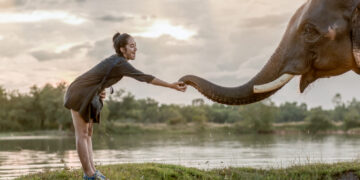 10 Amazing Ways Elephants are Like Human Beings
