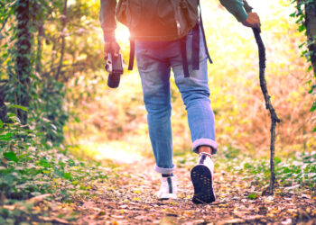 A new study shows just how important nature is to mental health